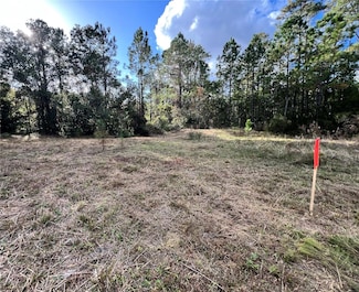 307 Mallard Rd, Satsuma, FL 32189