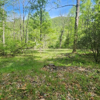 117 Holly Ln, Franklin, NC 28734