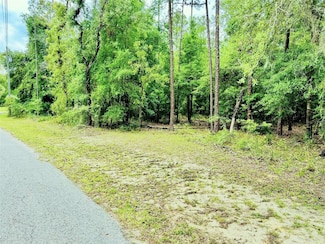 0000 SW 85 Loop, Dunnellon, FL 34431
