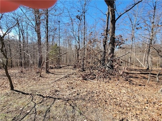 Lots 21 & 22 Peebles Ln, Bella Vista, AR 72715