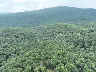 0 Pine Dr Unit 24207496, Bloomery, WV 26817