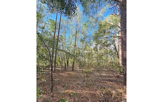 TBD 188th Place, Live Oak, FL 32060