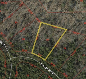 L73 Forest Park, Ashland, MO 65010