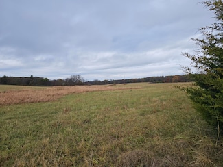 35 Acres S Farm Road 249, Rogersville, MO 65742