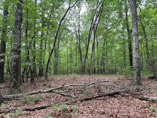 Ln, Monteagle, TN 37375