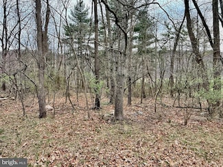 0 Unit WVMI2003318, New Creek, WV 26743