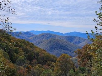 Lot 21 Falls View Rd, Bryson City, NC 28713