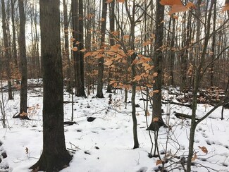 00 Sanford Hollow Rd, Genesee, NY 14754