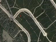 11816 Moss Grove Ct, Willis, TX 77378