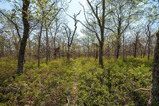 10 Quampache Ln Unit Lot 2 - Portion of, Edgartown, MA 02539