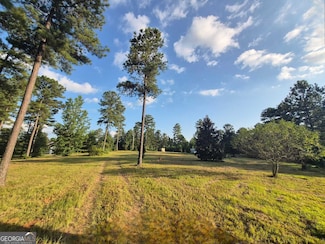 366 Firetower Rd, Hillsboro, GA 31038