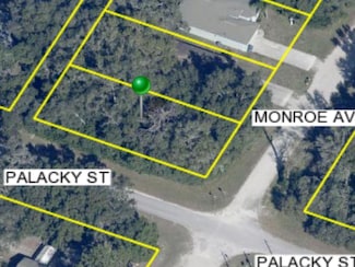 1059 Monroe Ave, Masaryktown, FL 34604