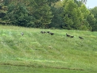 0 End of Meriwood Farm Rd, Farmville, VA 23901