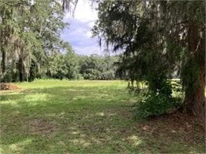 Lot 21 Sutherland Bluff Dr NE, Townsend, GA 31331
