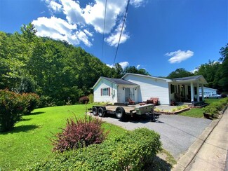 4765 R D Bailey Hwy, Simon, WV 24882