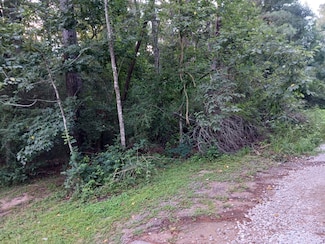 Lot 9 Walnut Grove Ln, Walnut Grove, TX 77355