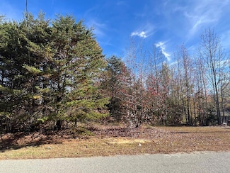 00 Williams Trail, Halifax, VA 24558