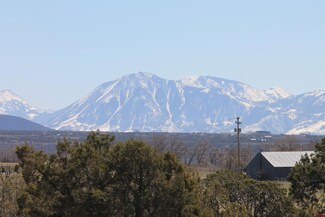 Lot 1 2525 Rd, Cedaredge, CO 81413