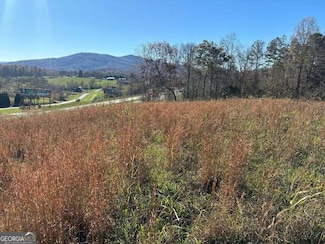 LOTS 1-4 Windy Ridge & Hwy 69, Hayesville, NC 28904