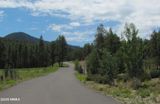 1039 Timbernook Crossing, Williams, AZ 86046