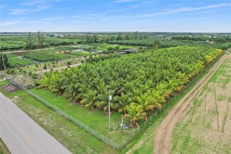 310XX SW 217 Ave, Unincorporated Dade County, FL 33030
