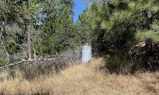 00000 Forrest Road 1n19, Twain Harte, CA 95379