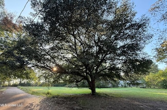 1242 Tisdale St, Canton, MS 39046