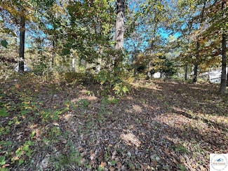 TBD Ab Hwy, Lincoln, MO 65338