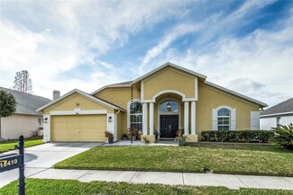 18410 Oriole St, Lutz, FL 33558