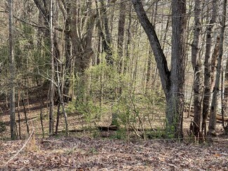 Tbd Charles St Lot 5, Clintwood, VA 24228