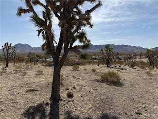 0 N Magnolia Dr, Dolan Springs, AZ 86441