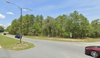 1511 W Donner Dr, Citrus Springs, FL 34434