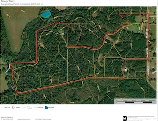 76555 Wilson Rd, Kentwood, LA 70444