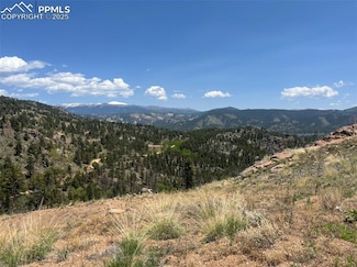 52 Chateau Cir W, Florissant, CO 80816
