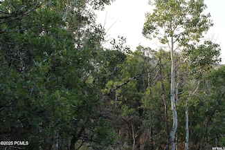 1747 S Beaver Bench Rd Unit 1421, Heber City, UT 84032