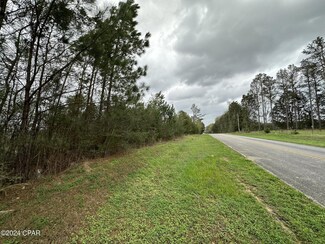 Tract 6201 8 Mile Cemetery Rd Unit 1, Defuniak Springs, FL 32433
