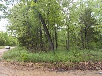 Tract 15 County Road 355, Richland Township, MO 65637