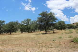 0 Big Springs Dr Unit 9979388, Caliente, CA 93518