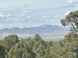 0 Wadel Springs Rd Unit 3626199, Wells, NV 89835