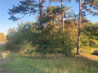 0 Hwy 110 E Unit 25044267, Heber Springs, AR 72543