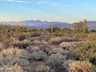 164xx E Morning Vista Dr, Scottsdale, AZ 85262