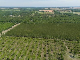 8 Bud Diamond Rd, Jay, FL 32565