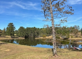 1430 John Wilkes Rd, Lyons, GA 30436