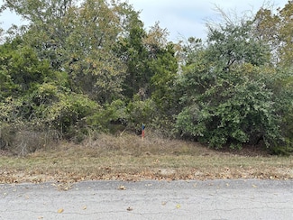 18017 S Hill Dr, Whitney, TX 76692