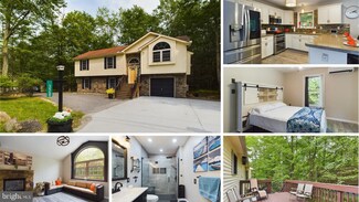 328 Orono Dr, Pocono Lake, PA 18347