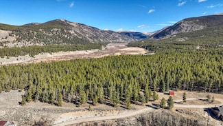 11622 Populist, Leadville, CO 80461