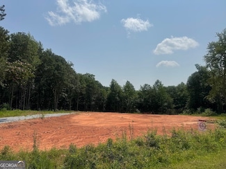 380 Ayers Rd, Bowdon, GA 30108