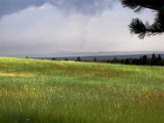 NHN Homestead Rd Unit 423-B, Lavina, MT 59046