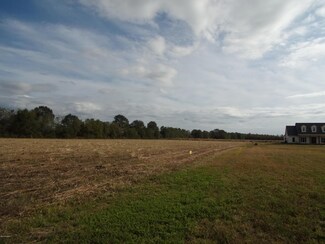 0 Whiteville Road (7 86 Acs) Rd Unit 19011330, Ville Platte, LA 70586