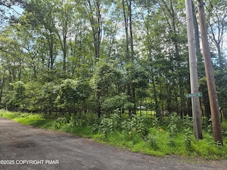 L-30-36 Elmhurst Rd, Middle Smithfield Township, PA 18302